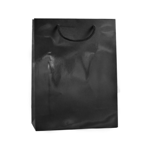 Eksklusiv papirpose sort blank uten logo | Nettbutikk | Kort levering på 2-3 dager fra lager